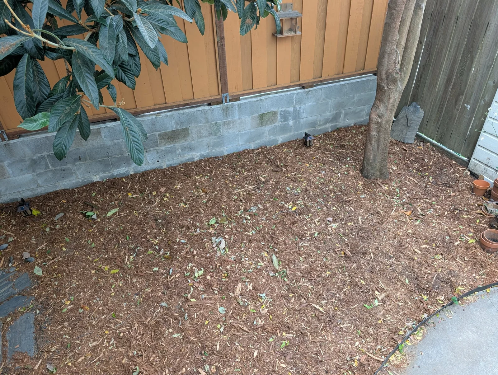 Original photo of the backyard with the pond outline drawn on the ground